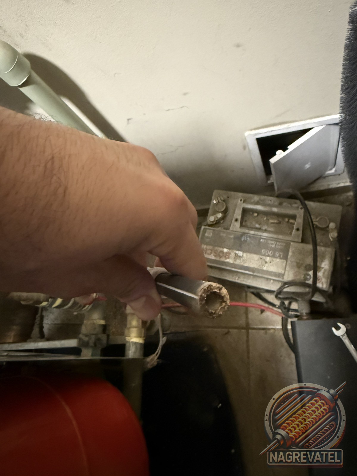 241214135354image