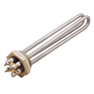 Immersion flanged heater